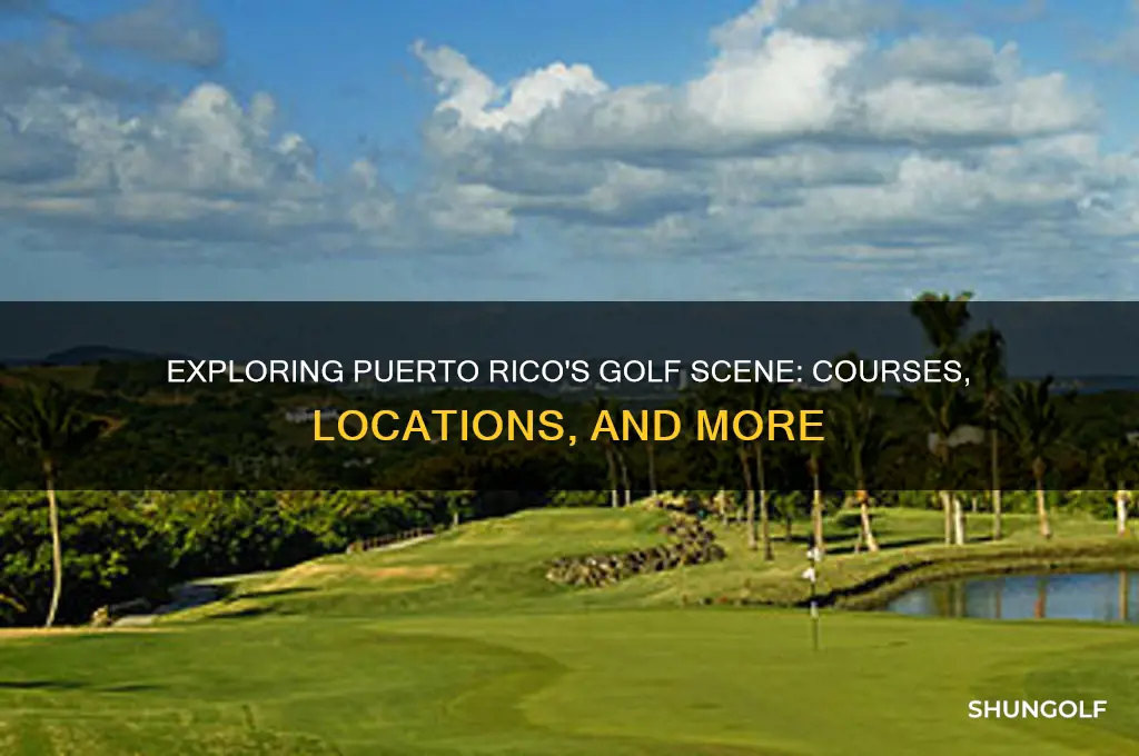 are there golf courses in puerto rico