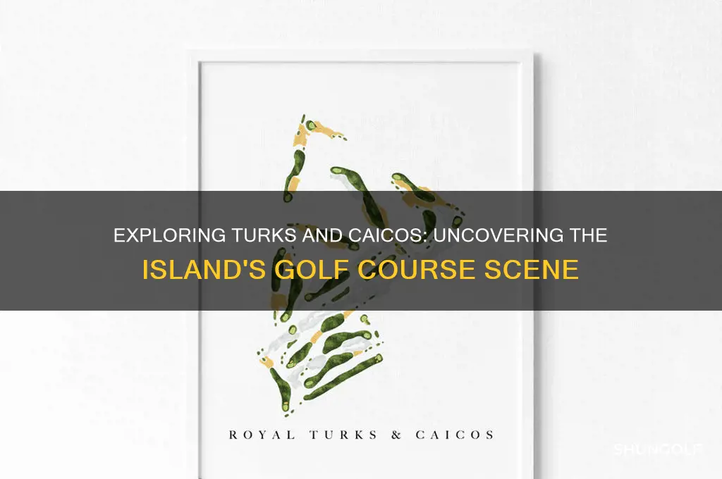 are there golf courses in turks and caicos