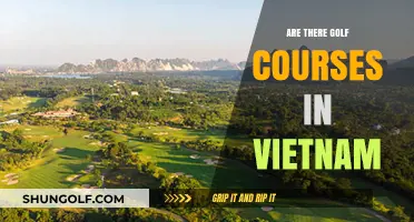 Exploring Vietnam's Golf Scene: Courses, Locations, and Experiences