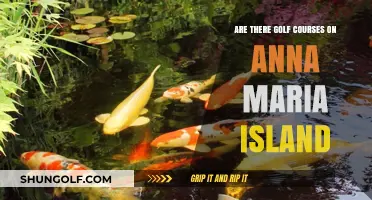 Exploring Anna Maria Island: Golf Courses and Leisure Options