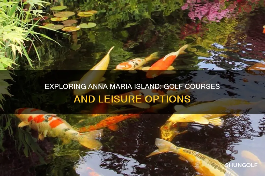 are there golf courses on anna maria island