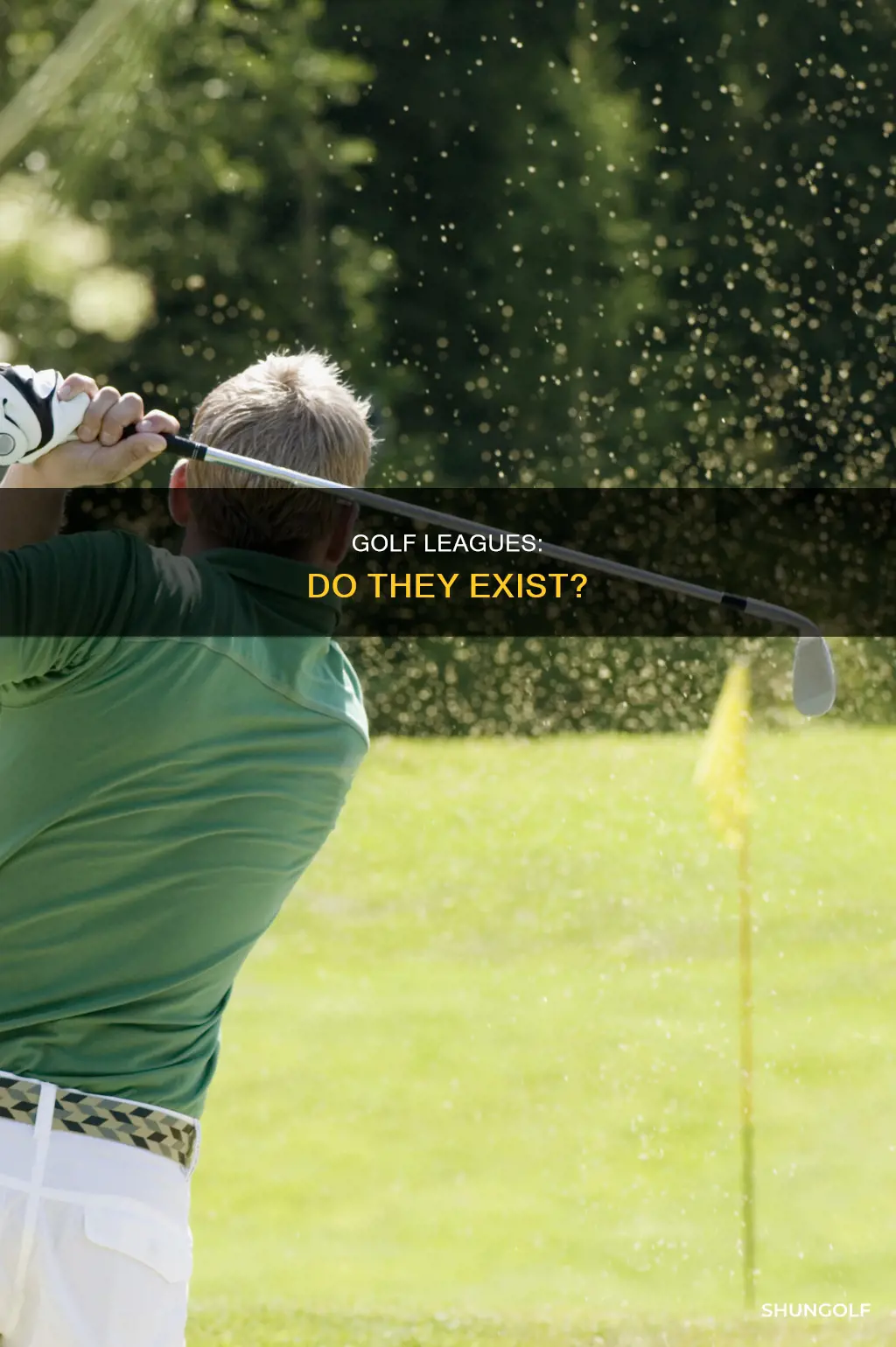 are there golf leagues
