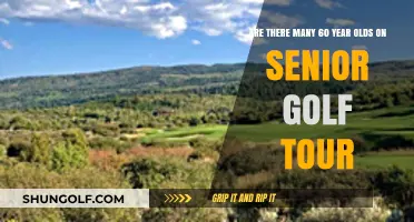Exploring Senior Golf Tours: How Many 60-Year-Olds Compete?