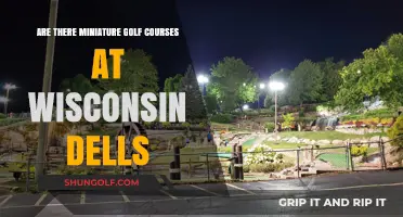 Mini Golf in Wisconsin Dells: Where to Find Fun Courses