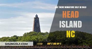 Miniature Golf on Bald Head Island, NC: A Fun Family Adventure
