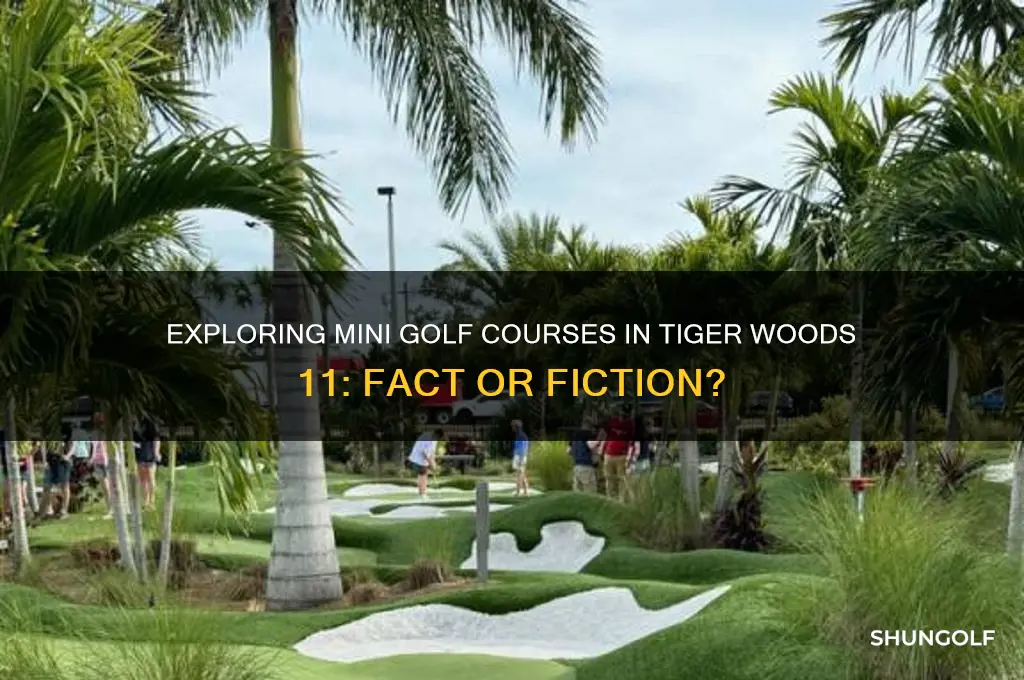 are there more mini golf courses in tiger woods 11