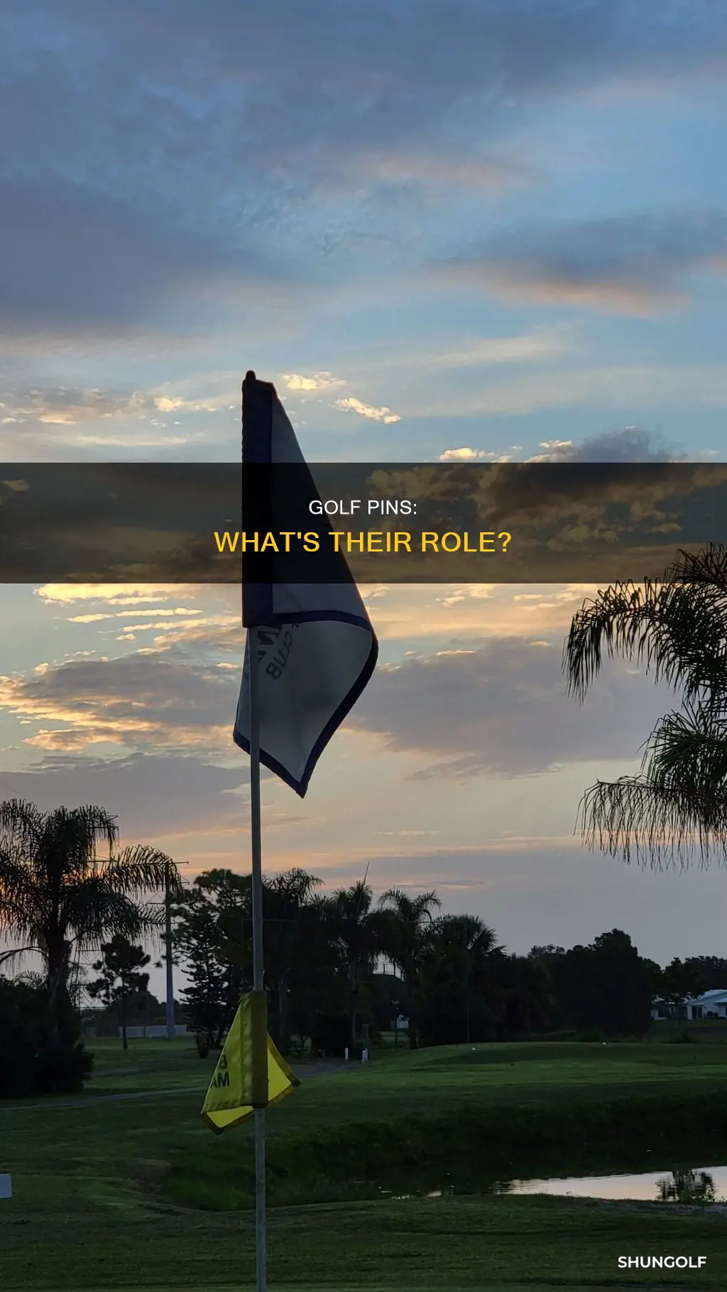 are there pins in golf