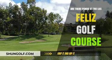 Exploring Los Feliz Golf Course: Ponds and Scenic Highlights