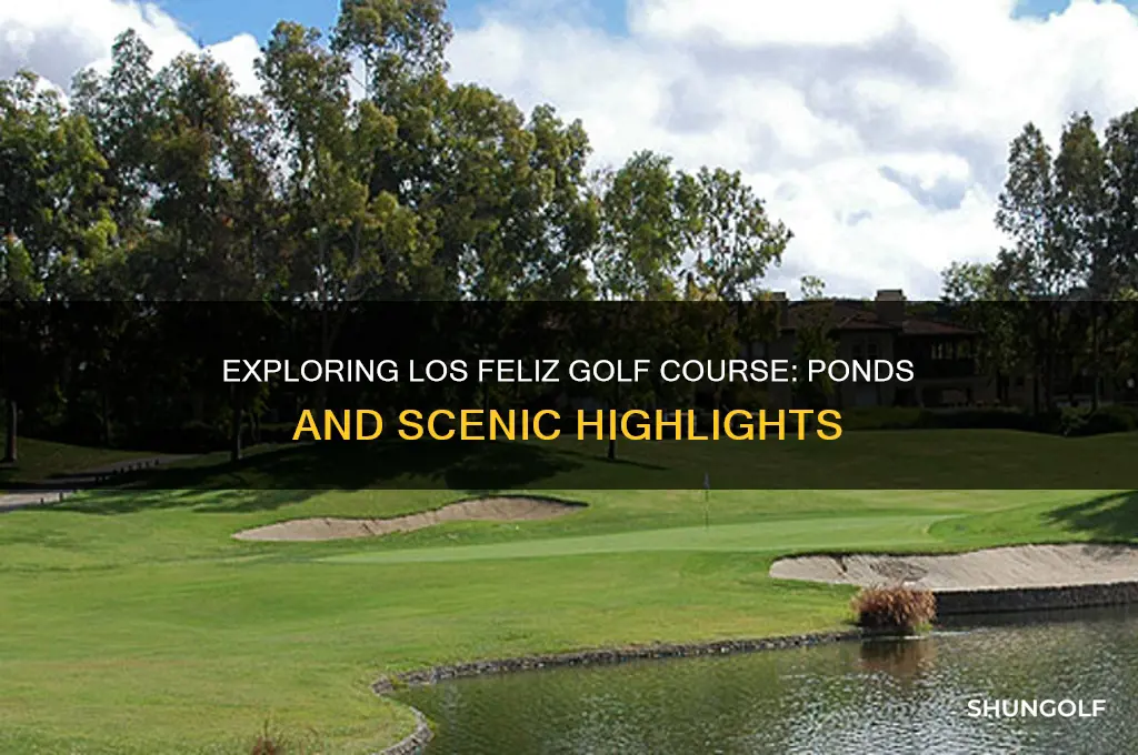 are there ponds at the los feliz golf course