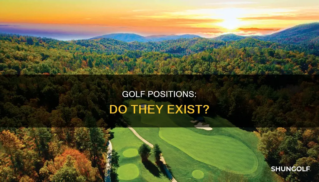 are there positions in golf