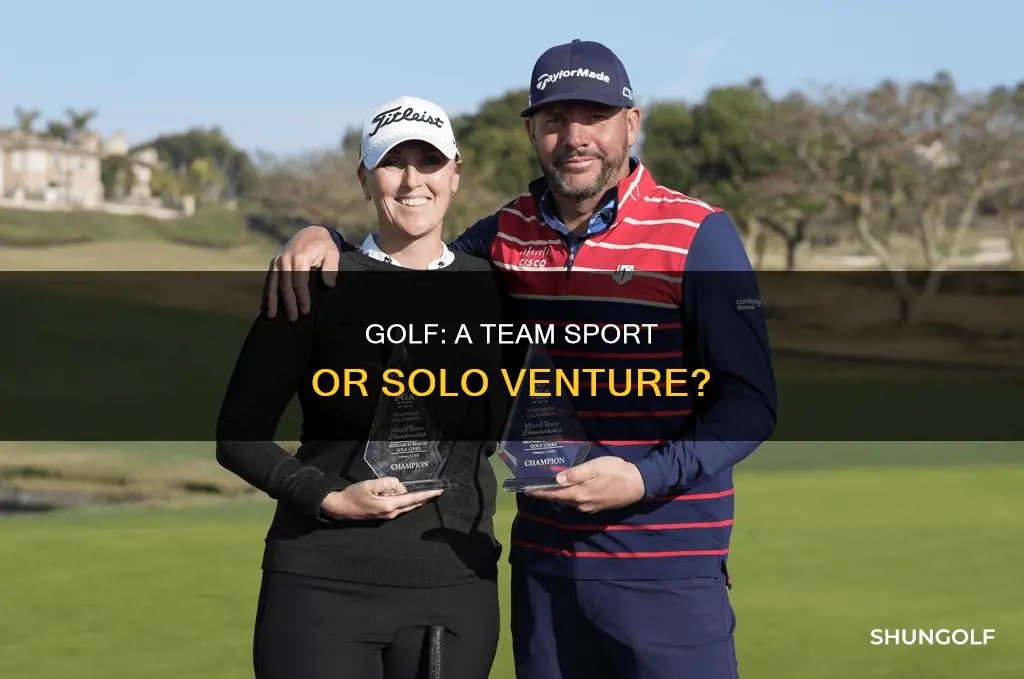 are there professional golf teams