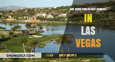 Exploring Las Vegas: Public Golf Courses for Every Budget and Skill Level