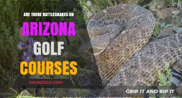Rattlesnakes on Arizona Golf Courses: Fact or Fiction?