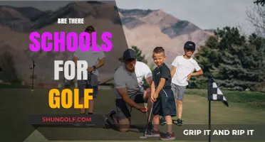 Golf Schools: Learn, Play, and Master the Game
