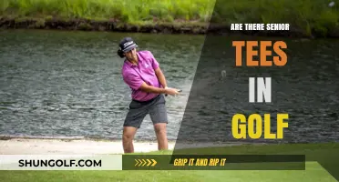 Golf Tees for Seniors: What's Available?