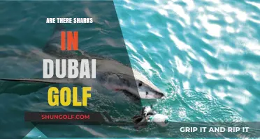 Sharks in Dubai Golf: Fact or Fiction?
