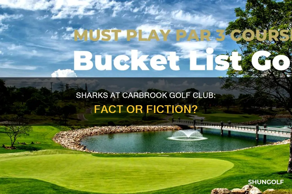 are there still sharks at carbrook golf club