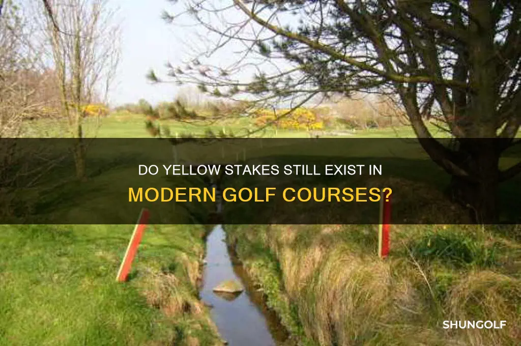 are there still yellow stakes in golf