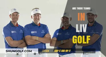Exploring the Team Dynamics in LIV Golf: A Comprehensive Look