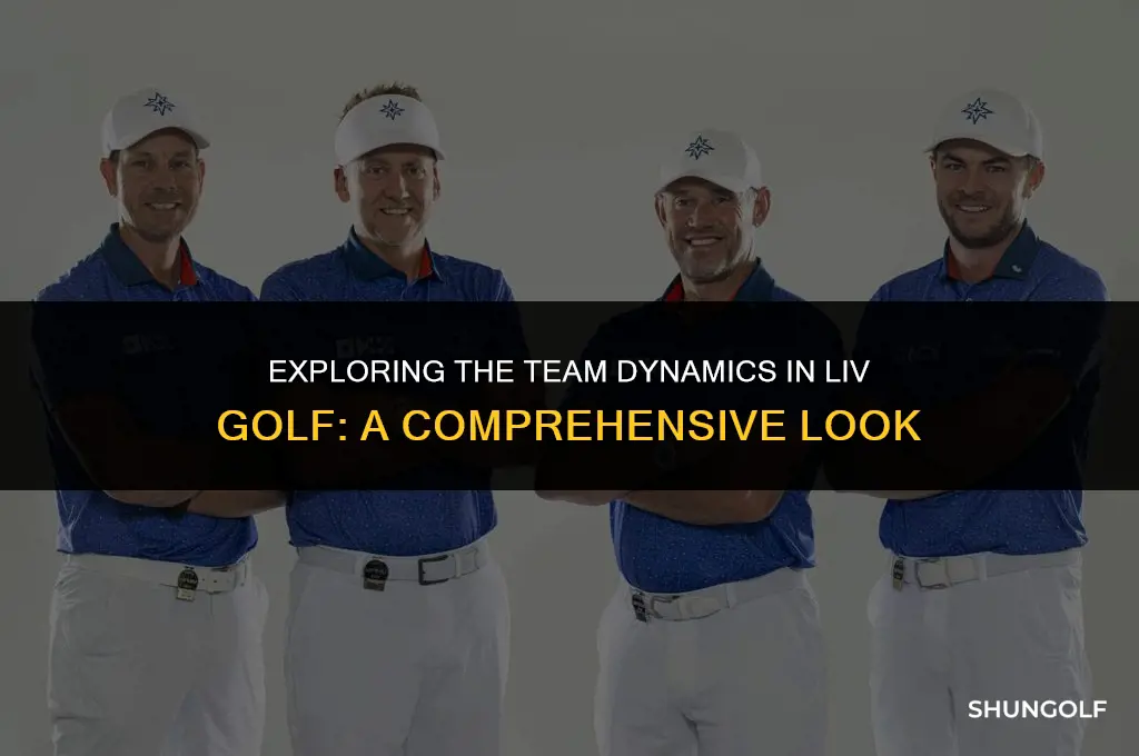 are there teams in liv golf