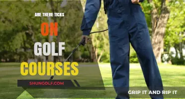 Ticks on Golf Courses: Risks, Prevention, and Staying Safe While Playing