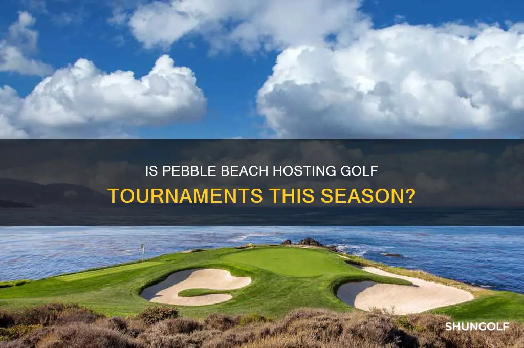 are they playing golf at pebble beach