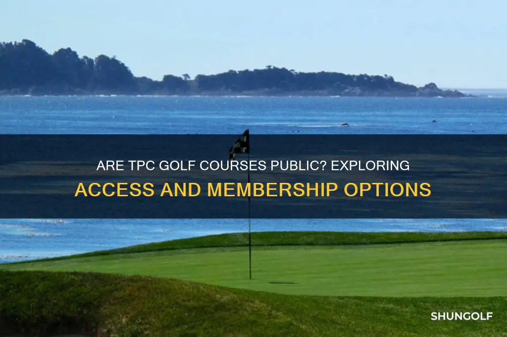are tpc golf courses public