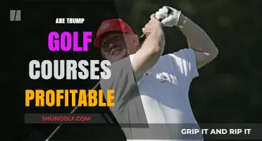 Are Trump Golf Courses Profitable? Analyzing Financial Performance and Viability