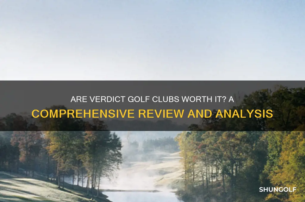 are verdict golf clubs good