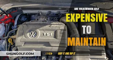 Golf Maintenance: Is It Affordable or Costly?