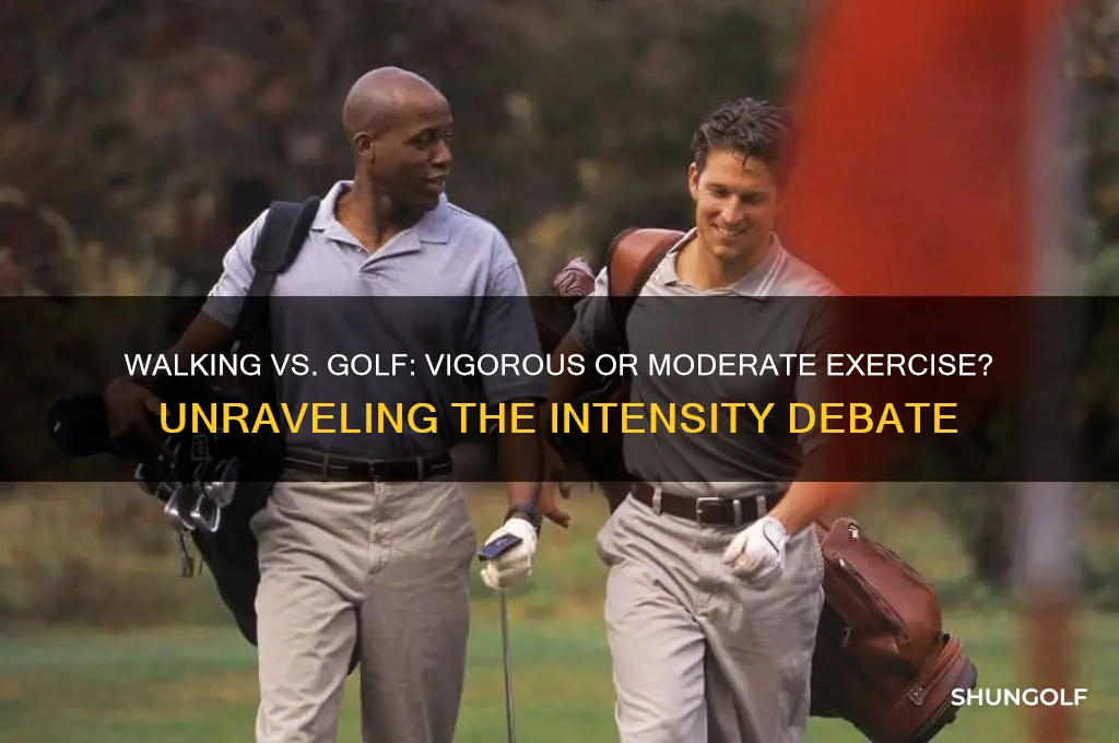 are walking or golf vigorous or moderate exercise