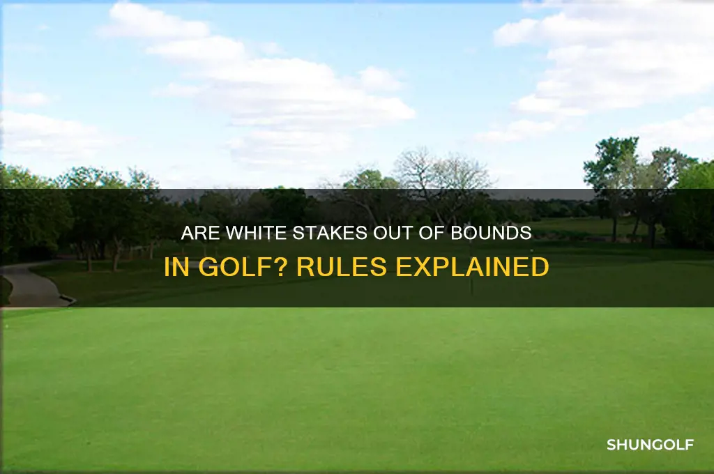 are white stakes out of bounds in golf