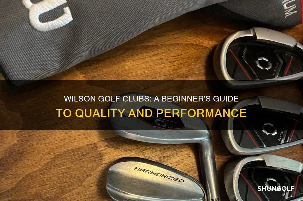 are wilson golf clubs good for beginners