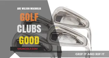 Wilson Magnolia Golf Clubs Review: Are They Worth Your Investment?