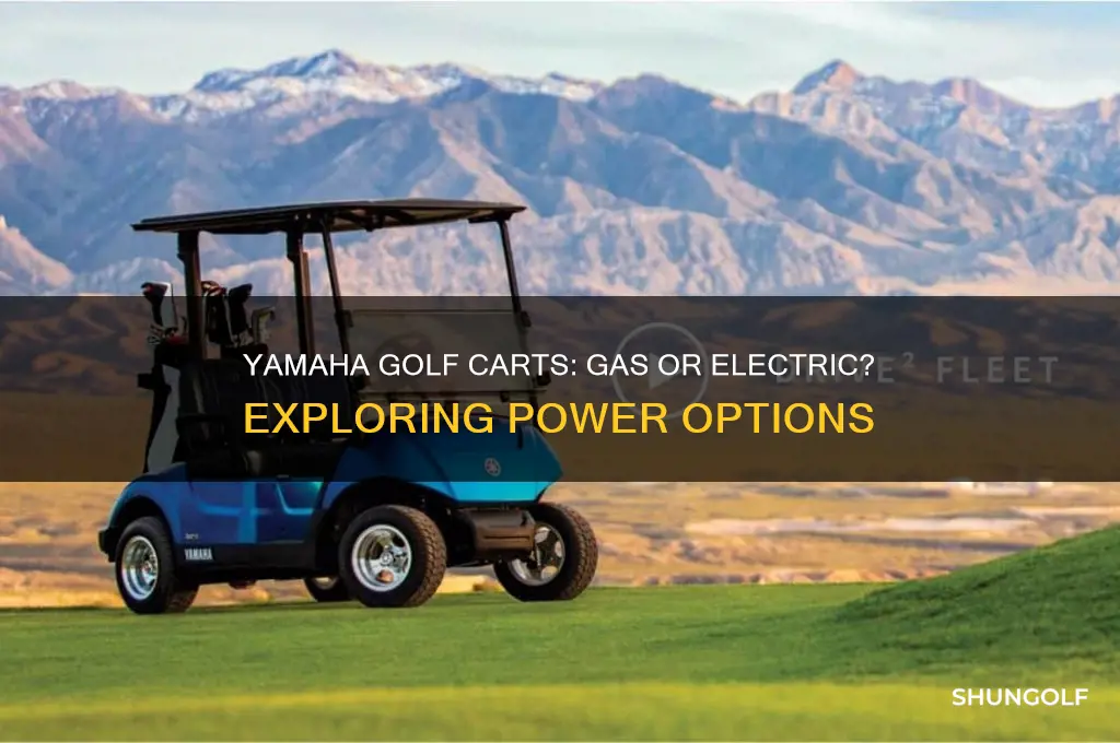 are yamaha golf carts gas or electric