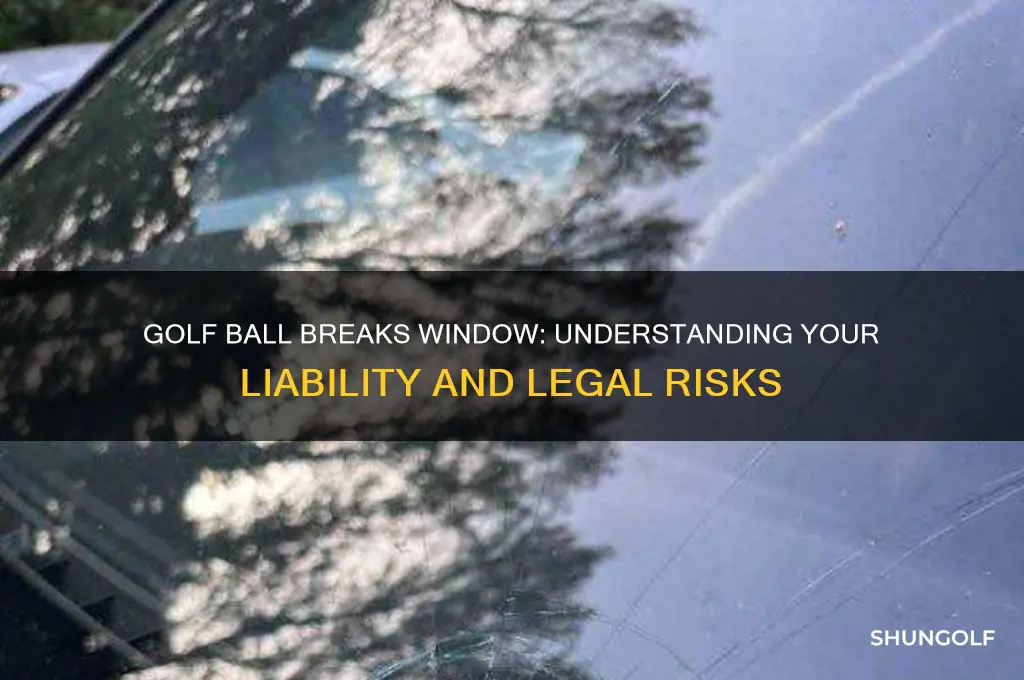 are you liable if you break a window golfing