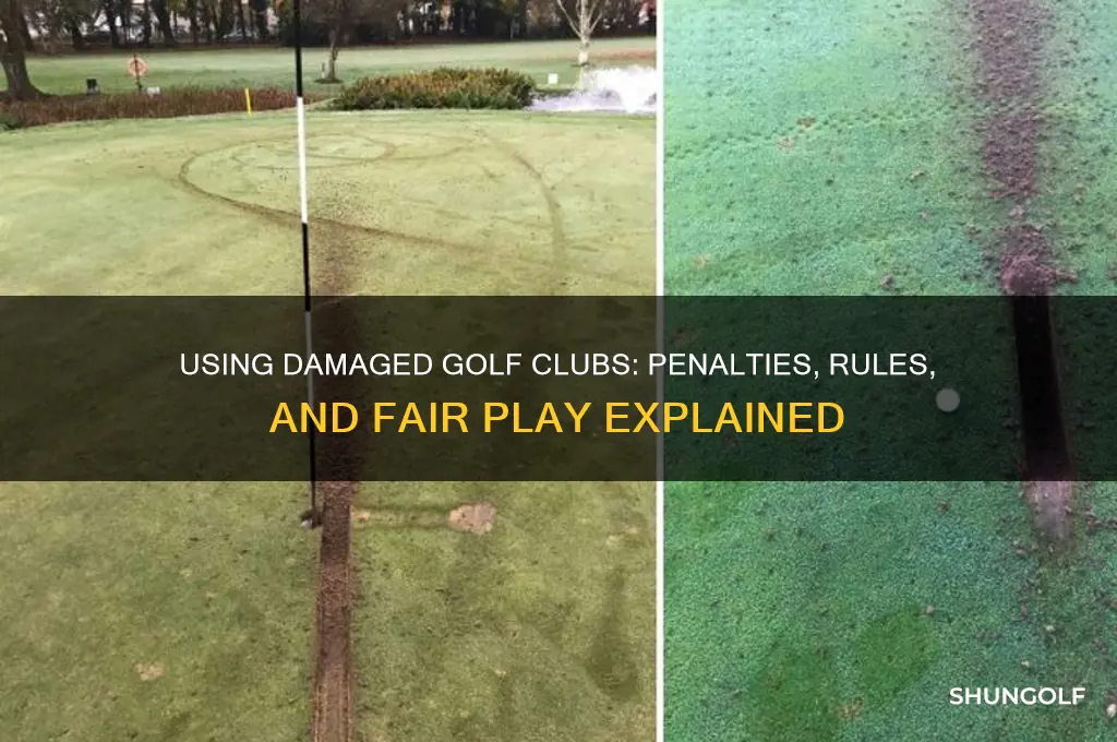 are you penalized for using danged clubs in golf
