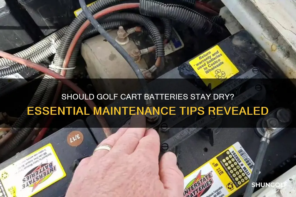 are you supposed to keep golf cart batteries dry