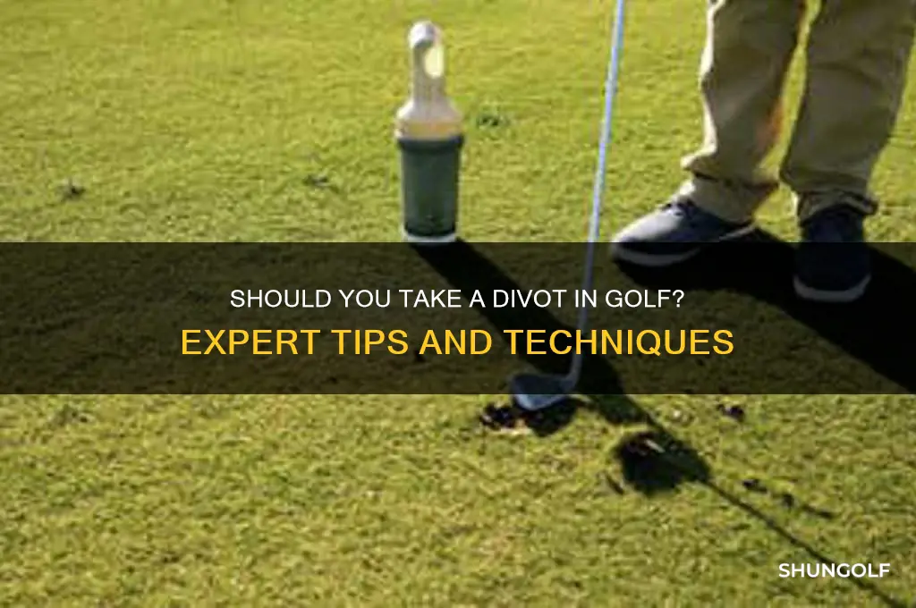 are you supposed to take a divot in golf