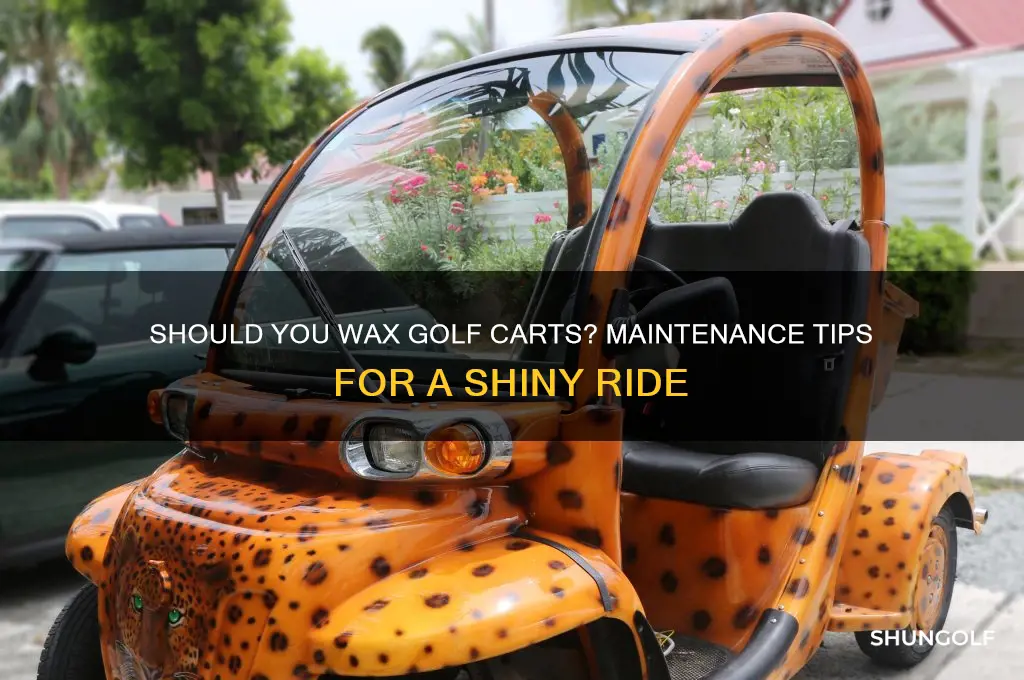 are you supposed to wax golf carts