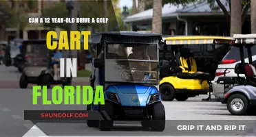 Can 12-Year-Olds Legally Drive Golf Carts in Florida?