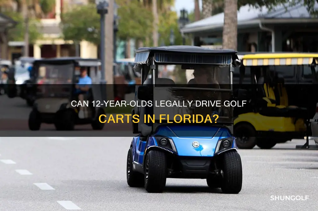 can a 12 year-old drive a golf cart in florida