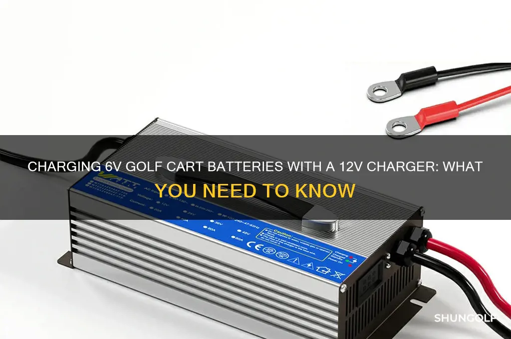 can a 12v charger charge 2 6v golf cart batteries