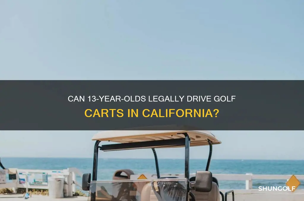 can a 13-year-old drive a golf cart in california