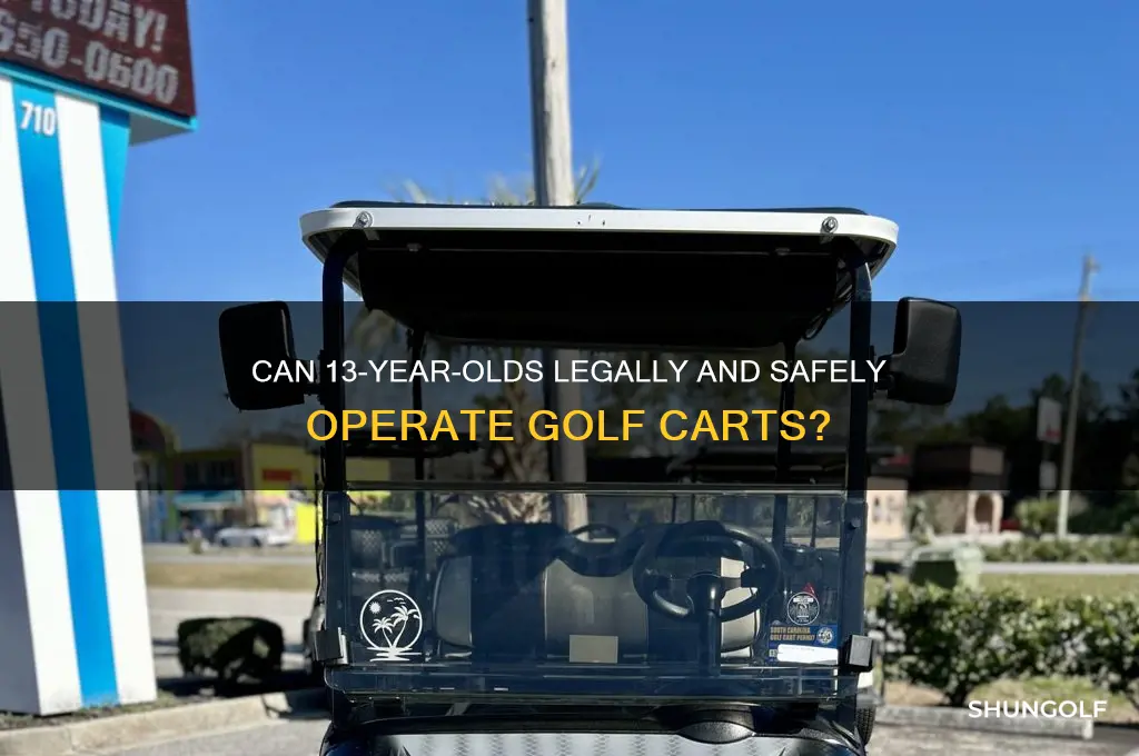 can a 13 year old drive a golf cart