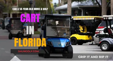 Florida Golf Cart Laws: Can 14-Year-Olds Legally Drive?