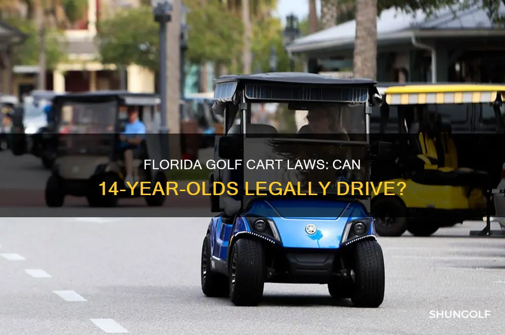 can a 14-year-old drive a golf cart in florida