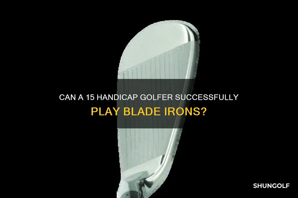 can a 15 handicap golfer play blade irons