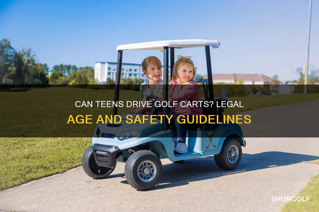 can a 15 year old drive a golf cart