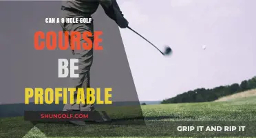 Maximizing Profits: The Viability of 9-Hole Golf Course Businesses